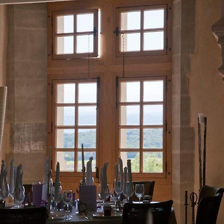 Chateau Le Rosey Otel Nyon Dış mekan fotoğraf