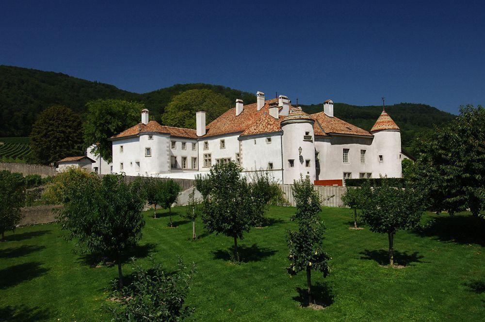 Chateau Le Rosey Otel Nyon Dış mekan fotoğraf