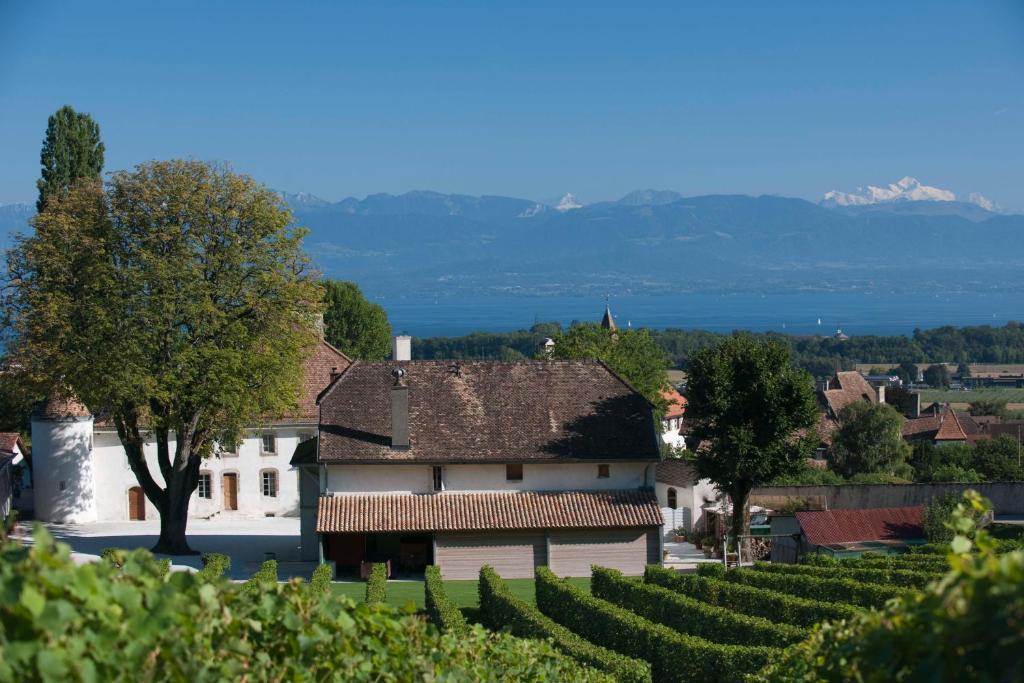 Chateau Le Rosey Otel Nyon Dış mekan fotoğraf