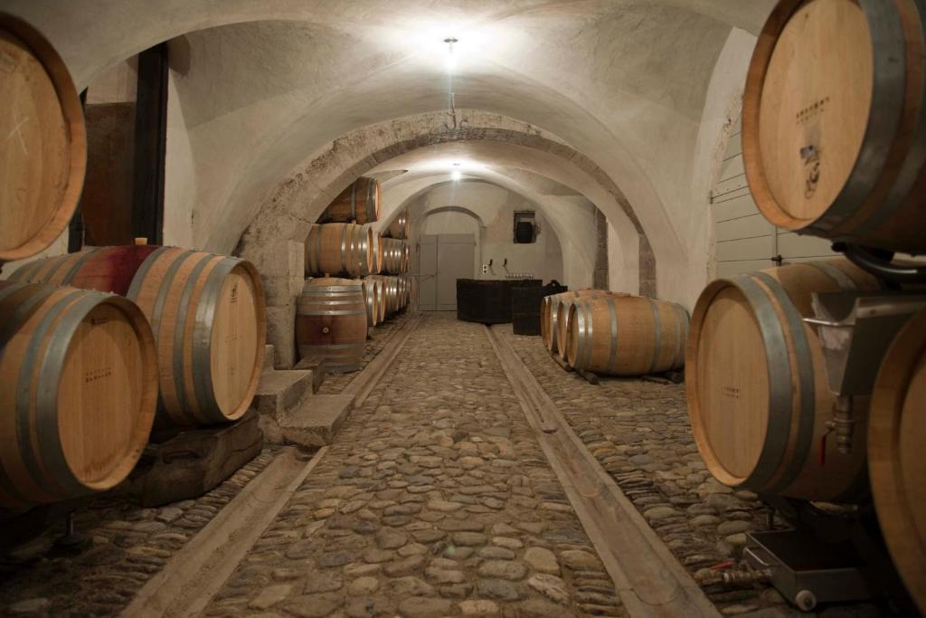Chateau Le Rosey Otel Nyon Dış mekan fotoğraf