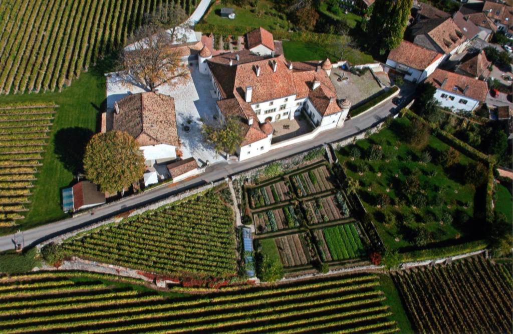 Chateau Le Rosey Otel Nyon Dış mekan fotoğraf